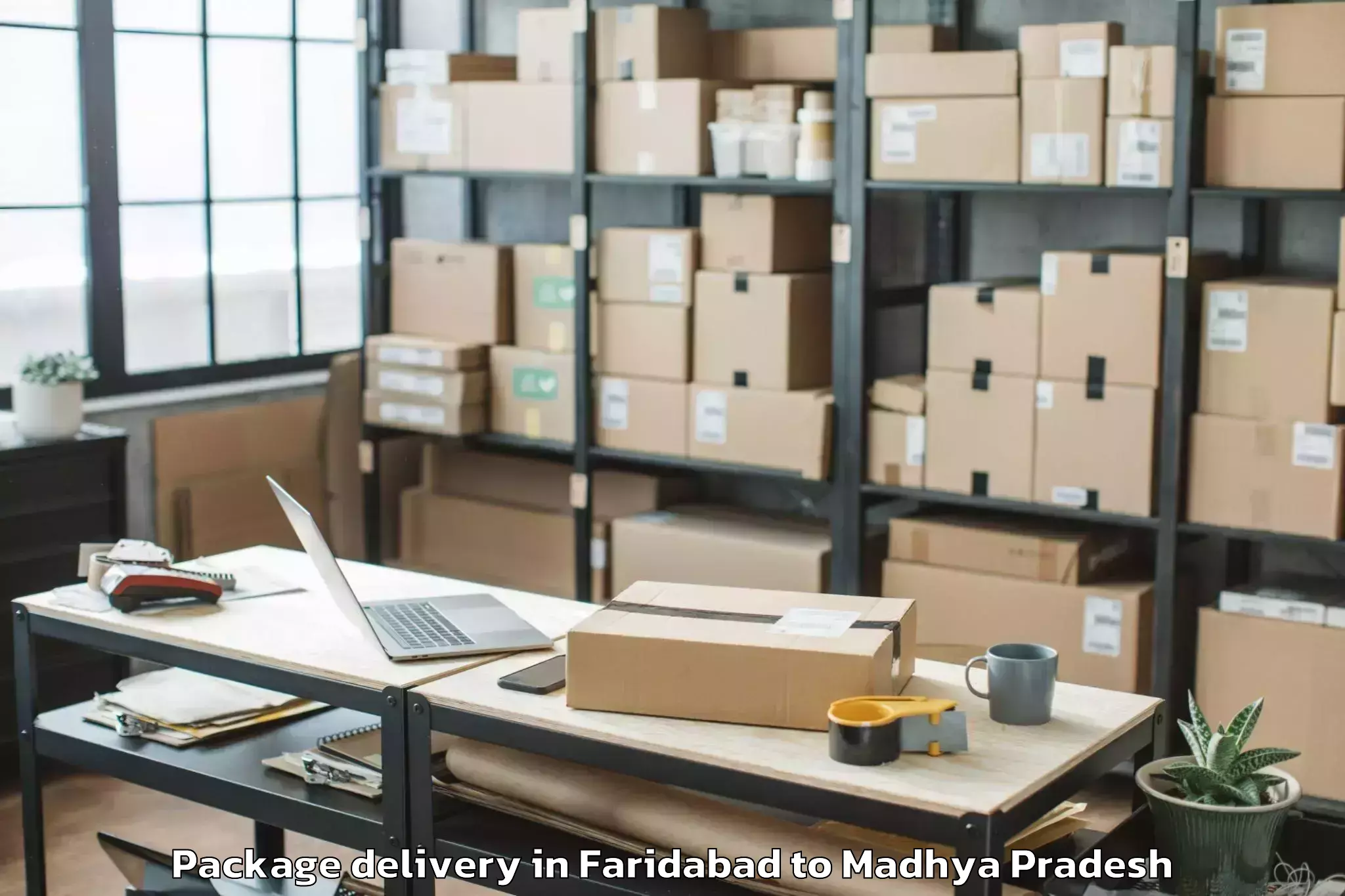 Book Faridabad to Pichhore Package Delivery Online